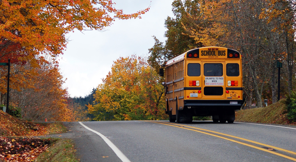 School Bus driving down a road in the fall